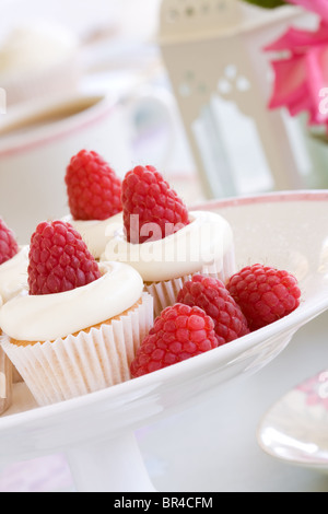 Tortini di lampone Foto Stock