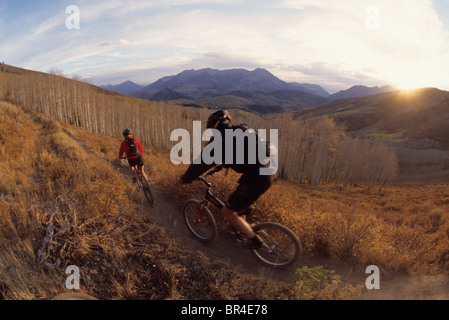 Due mountain bike corsa giù singletrack al tramonto in montagna wastach, Utah Foto Stock