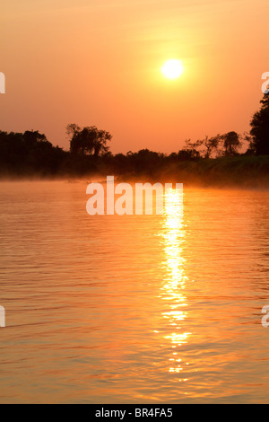Orange sunrise anche se la nebbia di mattina sul fiume Cuiaba in Brasile Pantanal Foto Stock