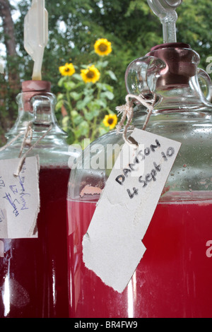 Close up di un demijohn contenenti vino fatto in casa Foto Stock