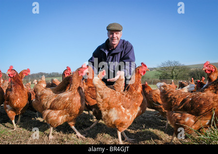 Peter Lenihan raccoglie con la sua scelta libera di galline su Park Farm, Falmer, East Sussex che egli vende nei suoi prodotti biologici Shop. Il Foto Stock