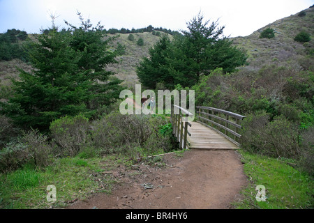 La costa si snoda attraverso chaparral - POINT REYES National Seashore, CALIFORNIA Foto Stock