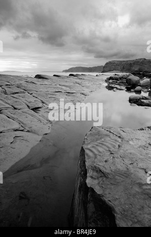 Bianco e nero paesaggio di Kilve spiaggia con combustibili in primo piano Foto Stock