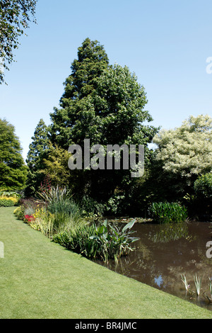 I laghetti ornamentali e laghi entro il Beth CHATTO GARDEN. ESSEX REGNO UNITO. Foto Stock