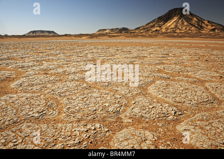 Nero, Deserto Deserto Libico, Egitto, Africa Foto Stock