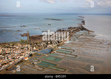 L'Aiguillon-sur-Mer (85): le inondazioni causate dalla tempesta Xynthia (2010/03/02) Foto Stock