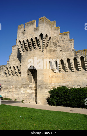 Francia, Provenza, Avignone, mura cittadine Foto Stock