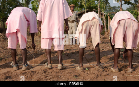 Il Rwanda nelle carceri di memorizzare migliaia di sospetti genocidaires. Foto Stock