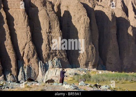 Pecore in Valle Aoyitage, altopiano del Pamir, Xinjiang, Cina Foto Stock