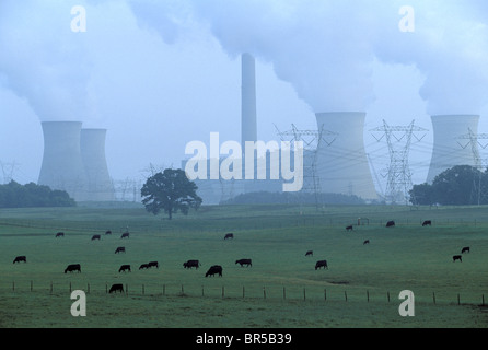 Ciclo del carbonio Foto Stock