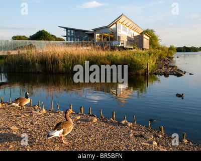 Crepuscolo presso il Centro Visita di Attenborough Riserva Naturale, Nottinghamshire England Regno Unito Foto Stock