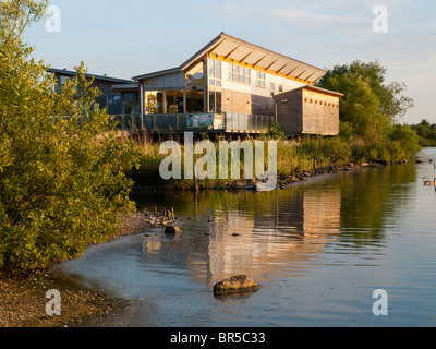 Crepuscolo presso il Centro Visita di Attenborough Riserva Naturale, Nottinghamshire England Regno Unito Foto Stock