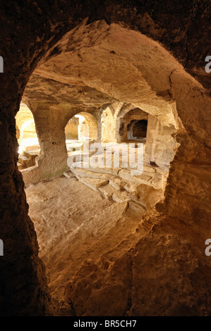 Saint Roman de l'Aiguille abbey, Gard, Francia. Foto Stock