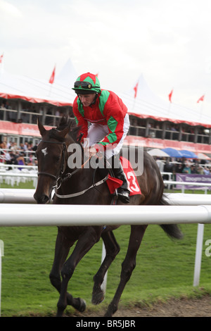 DONCASTER ,l'Inghilterra, 11 Settembre,PAOLO HANAGAN SUL NOSTRO JOE MAC su settembre 11,2010 Doncaster Inghilterra England Foto Stock