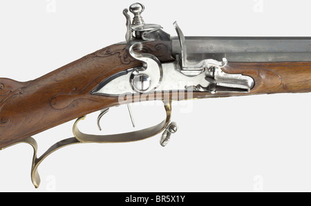 Un fucile flintlock, tedesco meridionale, circa 1780. Canna ottagonale alla brace con un musetto leggermente gonfio, foro rigato a sette scanalature in calibro 17 mm e vista a coda di rondine. Il numero '2' è inciso sulla linguetta. Flintlock lucido originale. Trigger a doppia impostazione. Brodo di noce con cappuccio terminale a tromba. Decorazione rocaille finemente scolpita con una pietra rinumerante sulla guancia. Patchbox. Ramrod originale in legno con punta a tromba. Lunghezza 97 cm. Bellissimo arsenale mantenuto arma in quasi nuova condizione. Storico, storico, 18th secolo, civili lunghe pistole, pistola, armi, armi, weap, Foto Stock