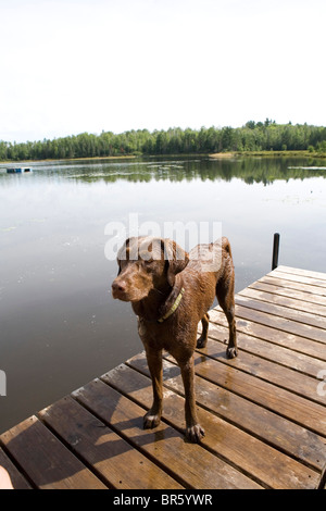 Wisconsin Foto Stock