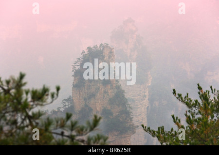 Picchi di arenaria di Mt Tianzi (figlio del cielo della montagna), Wulingyuan Scenic Area, nella provincia del Hunan, Cina Foto Stock