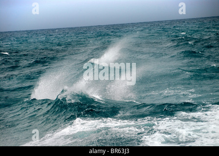 Rompere le onde del mare Foto Stock