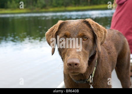 Wisconsin Foto Stock