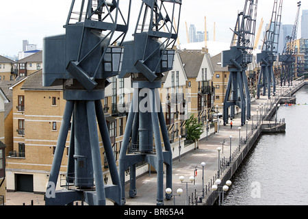 Royal Victoria Dock, Londra, conserve di gru e di un nuovo alloggiamento. Foto Stock