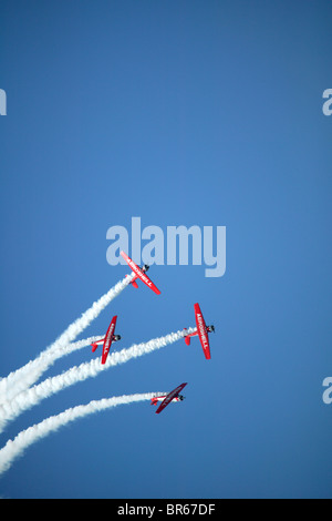 L'aeroshell volo acrobatico team esegue al 2005 Sun-n-divertimento in Airshow Lakeland FL. Foto Stock