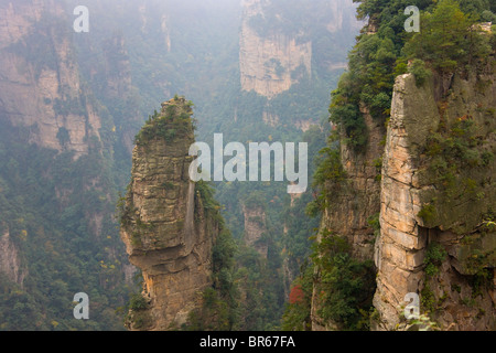 Picchi di montagna, Zhangjiajie National Forest Park, Wulingyuan Scenic Area, nella provincia del Hunan, Cina Foto Stock