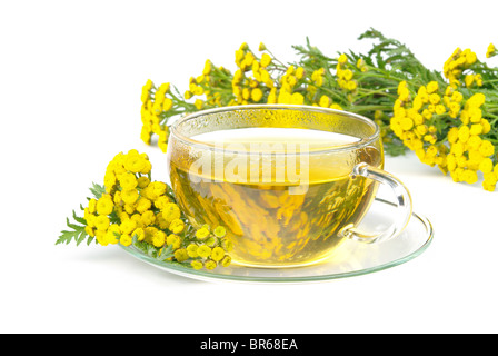 Tee Rainfarn - tea tansy 02 Foto Stock