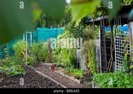 Spa Hill riparto, Crystal Palace di Londra Foto Stock