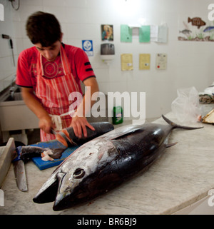 Un intero giovani tonni sul contatore ad un pesce monger in Malta. Foto Stock