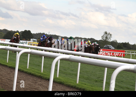 DONCASTER, Inghilterra- 11 Settembre: St leger giorno 5TH GARA DI SETTEMBRE 11, 2010 a Doncaster race course Doncaster Inghilterra il wor Foto Stock