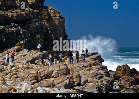 Capo di Buona Speranza, Western Cape, Sud Africa Foto Stock
