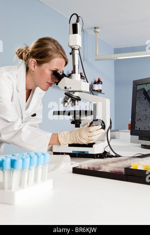 Un tecnico di laboratorio cercando in un microscopio in un laboratorio Foto Stock