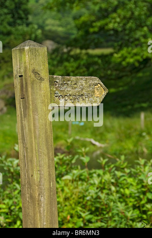 Primo piano di legno pubblico sentiero segnaletica sentiero segno a piedi Cartello in estate Cumbria England UK United Kingdom GB Great La Gran Bretagna Foto Stock