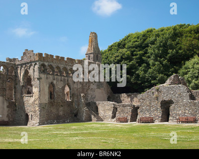 St Davids Cathedral, St Davids City, pembrokeshire Dyfed Regno Unito Galles Foto Stock