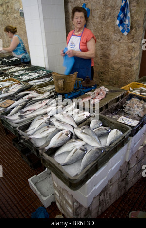 Il pesce per la vendita presso la città di mercato (Pijaca). Nella maggior parte delle città dalmata il mercato è uno spettacolo per gli Occhi dolenti e Zara è uno dei th Foto Stock