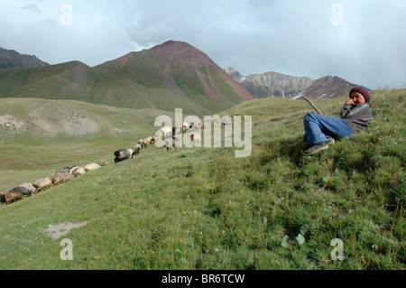 Un shephard tende il suo gregge in Kirghizistan. Foto Stock