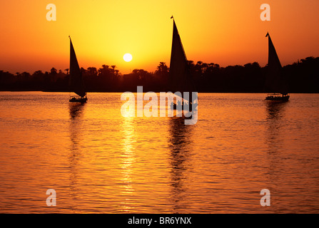 Feluche sul Fiume Nilo al tramonto, Luxor, Egitto Foto Stock