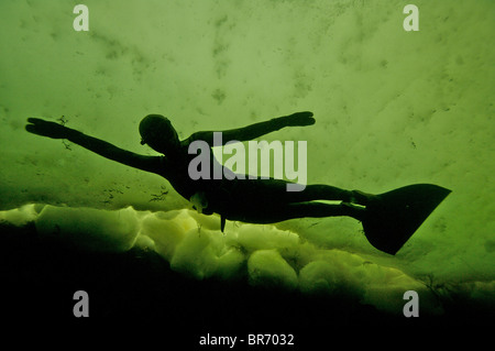 Julia Petrik free-diving (senza aria di alimentazione) sotto il ghiaccio nel Mare Bianco, Russia settentrionale Marzo 2008 Foto Stock