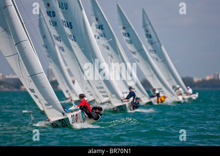 Bacardi Star regata, Miami 2009. Foto Stock