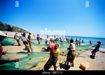 I pescatori tirando in spiaggia seine net nelle prime ore del mattino, Vilankulo, Mozambico, Novembre 2008 Foto Stock