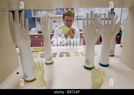 Scienziato con la Yulex Corp. rende i prototipi dei guanti di gomma per testare diverse formulazioni di lattice guayule Foto Stock