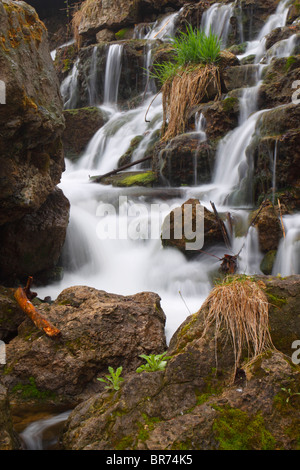 Diga naturale scende al Governatore Dodge stato parco nel Wisconsin Foto Stock