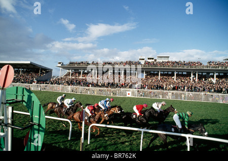 Corse di cavalli, Galway gare, Foto Stock