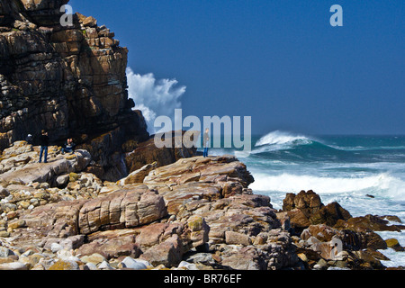 Capo di Buona Speranza, Western Cape, Sud Africa Foto Stock