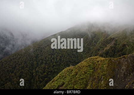 Guardando verso sud dalla capanna Jumbo, il lato orientale del Monte Jumbo e il Monte Holdsworth nella distanza in Tararua montagne. Foto Stock