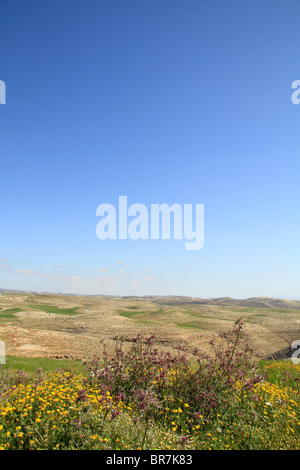 Paesaggio nearTell el-Ful, sito di Ghibeah biblica Foto Stock