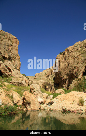 Deserto della Giudea, Ein Prat (Ein Fara) a Wadi Qelt Foto Stock