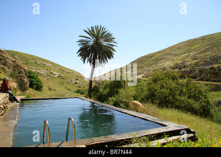 Deserto della Giudea, Ein Prat (Ein Fara) a Wadi Qelt Foto Stock