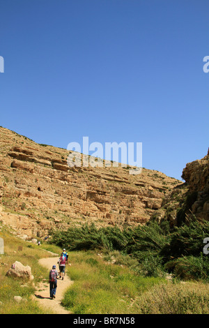 Deserto della Giudea, Ein Mabua (Ein Fawar) a Wadi Qelt Foto Stock