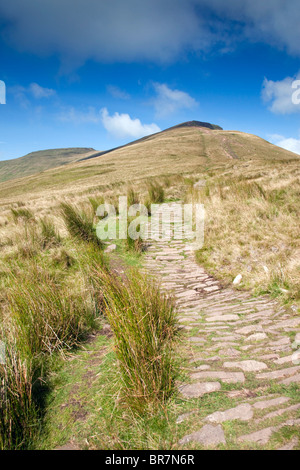 Pen y Fan di montagna; Brecon Beacons; Galles Foto Stock